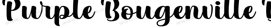 Purple Bougenville Duo字体转换